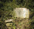 Johnson family grave, Abney Park cemetery, London